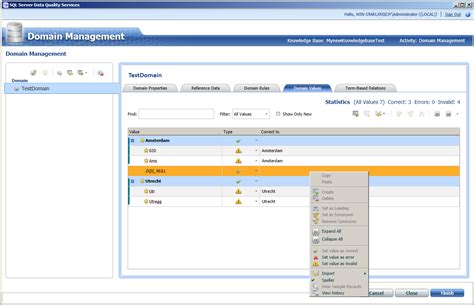 Image result for SQL Dqs Tutorial