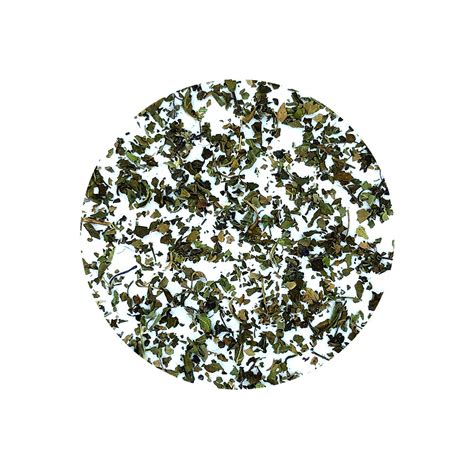 Tulsi – T-Swing