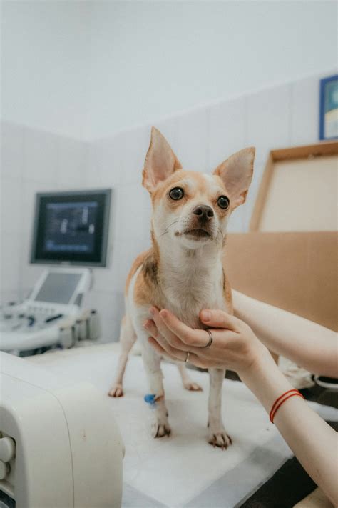 Image result for PID Controller Module Display