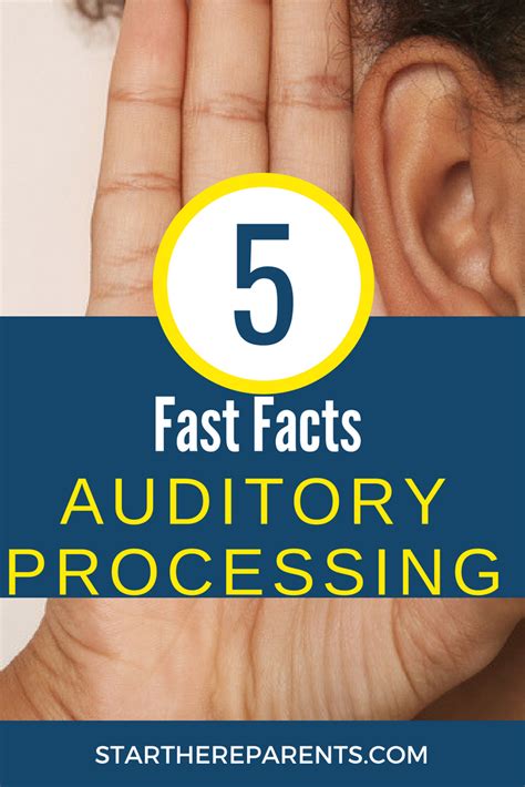 Auditory Processing System 的图像结果