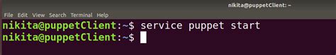 Image result for Debugging Puppet Installation Coursera