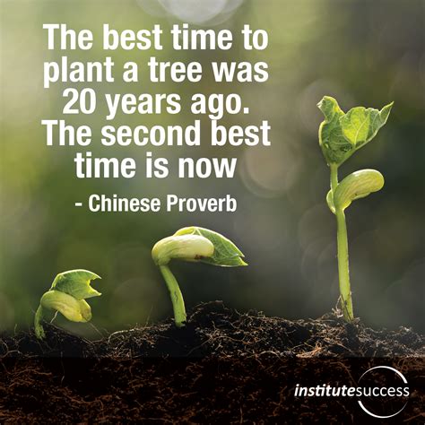 The best time to plant a tree was 20 years ago. The second best time is now – Chinese Proverb ...