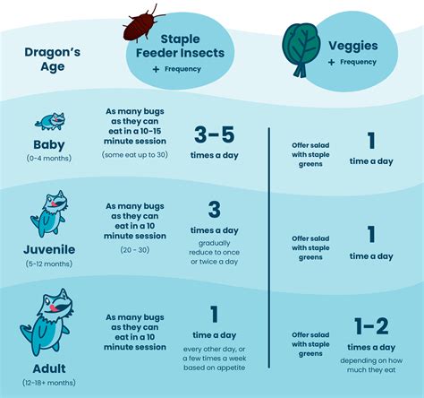 A Beginner’s Guide to Bearded Dragon Colors & Morphs – Dragon's Diet
