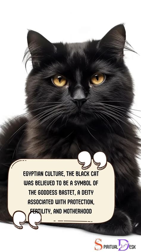 Black Cat Spiritual Meaning Egyptian: Protection! | Spiritual animal ...