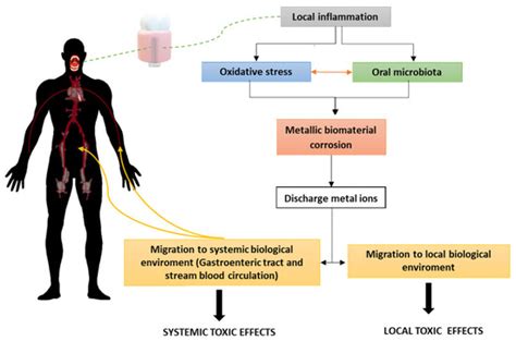 JFB | Special Issue : Tribology for Biomedical Applications
