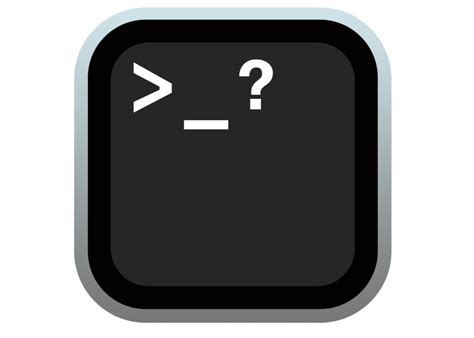 Shell Basics 的图像结果