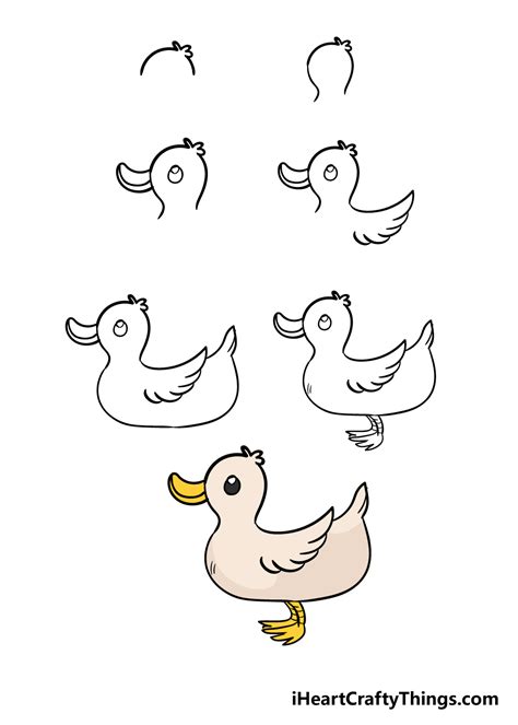 Image result for Drawing a Duck Step by Step