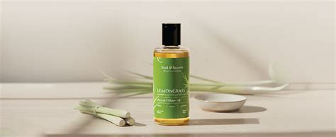 Soul & Scents 150ml Lemongrass Aroma Diffuser Oil | Infused with ...