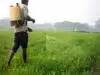 fertiliser sector: Latest News & Videos, Photos about fertiliser sector ...