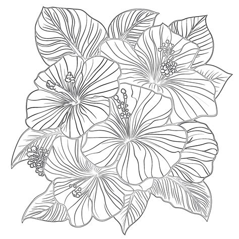 Adult Flower Coloring Pages
