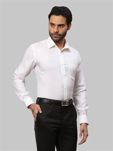 Park Avenue Men Fawn Regular Fit Cotton Formal Shirt – MyRaymond