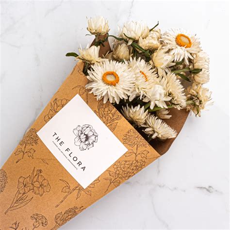 Helichrysms – The Flora