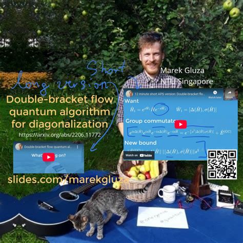 Image result for Wegner Flow Block Diagonalization