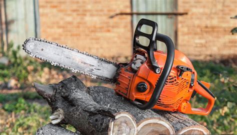 Local Tree Removal Companies 的图像结果