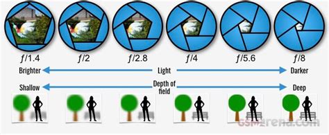 F-Stops Chart 的图像结果