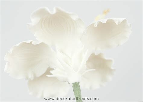 Image result for Gum Paste Hibiscus Flower Tutorial