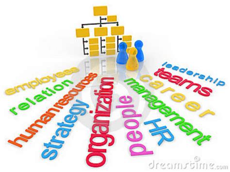 Organization Structure Clip Art 的图像结果