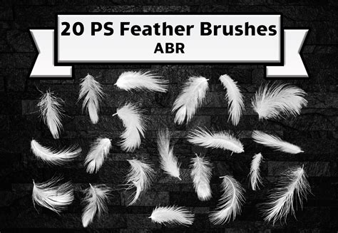 Adobe Photoshop Feather Brushes – MasterBundles