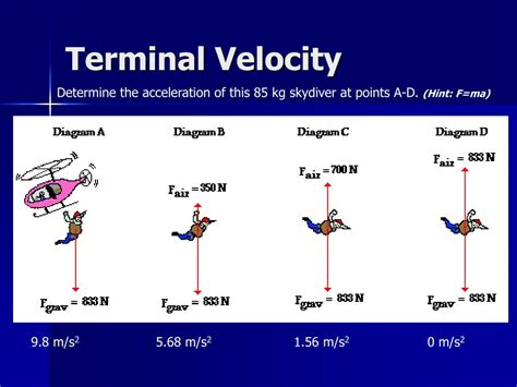 Image result for Terminal Velocity Examples