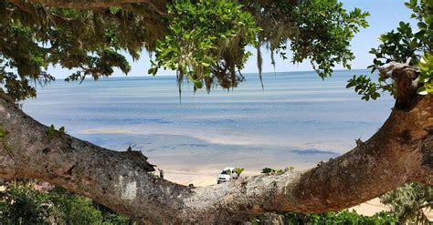 Paisagem preservada da Lagoa do Peixe, ideal para turismo e pescaria esportiva