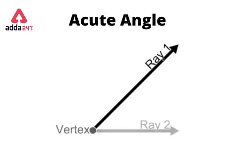 Acute angle Triangle: Definition, Degree, Example