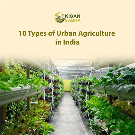 10 Types of Urban Agriculture in India - KisanSabha Blog