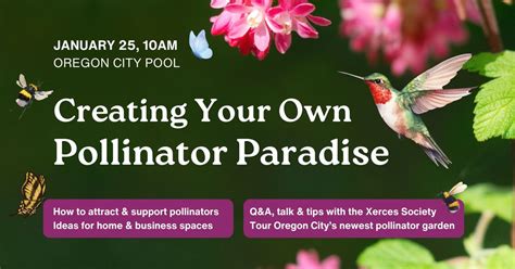 Pollinator Gardens, Native Plants, and Garden Tour with the Xerces ...