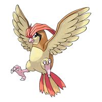 Pokemon Pidgeotto – Pixelmon Reforged Wiki
