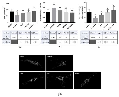 Fluorescent Light Energy (FLE) Acts on Mitochondrial Physiology ...