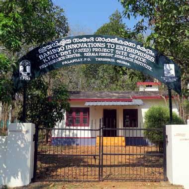 i-STED-KFRI BAMBOO/CANE ENTREPRENEURSHIP DEVELOPMENT PROGRAMME