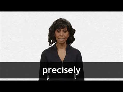 Image result for Precisely Tutorial