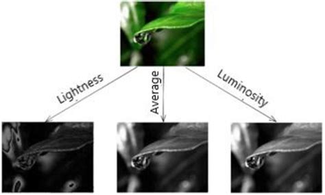 Image result for Color Conversion