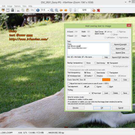 Image result for IrfanView PDF