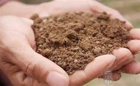 关于黏土改良指南_四川营养土 | 四川有机肥 | 育苗基质 | 蔬菜有机肥 | 果树有机肥