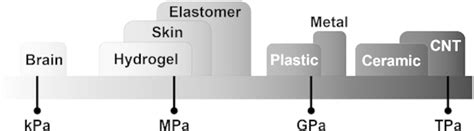 Image result for Young's Modulus Examples