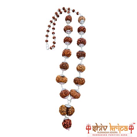 Buy Original Rudraksha Mala Online, 1 to 14 Mukhi – Shiv Kripa Rudraksha