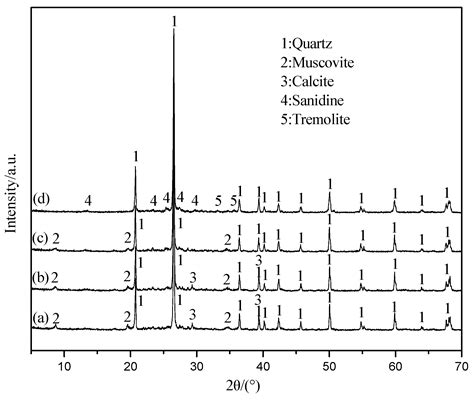 Mechanism of Enhancing Extraction of Vanadium from Stone Coal by ...