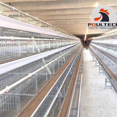 Poultry Cage - Poultry Layer Cages Retail Trader from Rangareddy