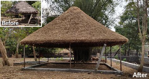 AAZP - CSR Activities at Zoo