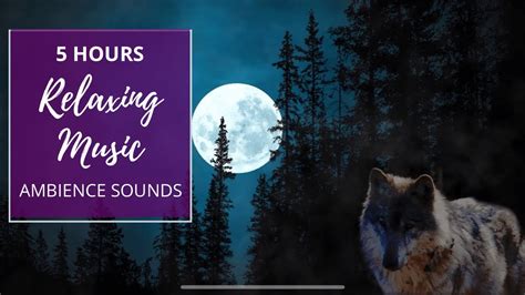Image result for Wolves Howling Sleep Sounds