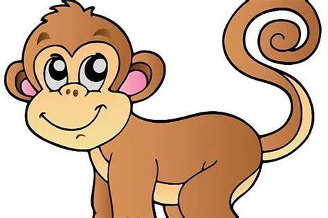属猴的年份表及年龄对照表-属猴的出生年月与年龄对照表_探秘志