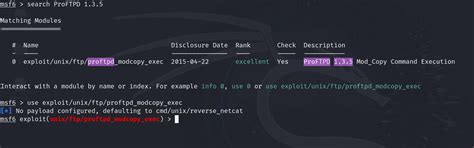 Image result for Metasploitable 3 Proftd