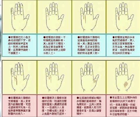 【算命不求人】快速看懂手相-(三十二)陰陽五行，手型|Oriental Palmistry-Hand