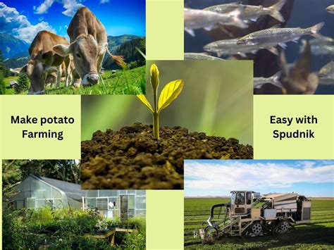 Farming Methods 的图像结果