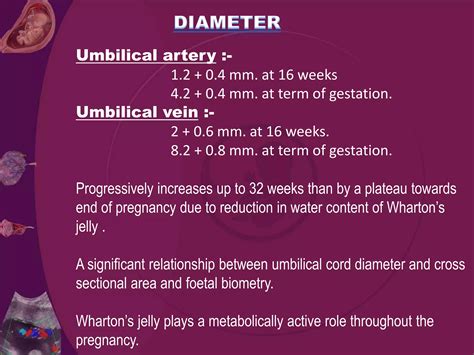 Umblical cord presentation | PPTX