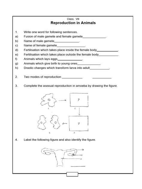 Image result for Science Class 8 Reproduction