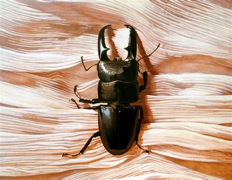 Nothing. Life. Object Painting by Young-Sung Kim | Saatchi Art