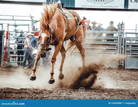 Horse Bucking Rider Off