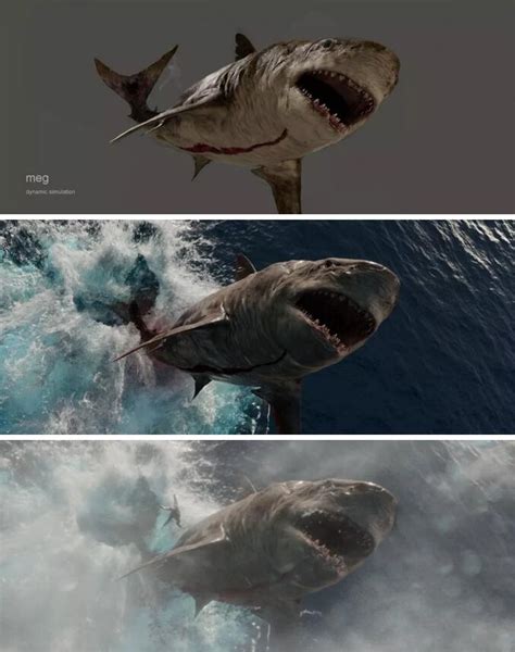 巨齿鲨 真实,巨齿鲨图片 壁纸 - 伤感说说吧