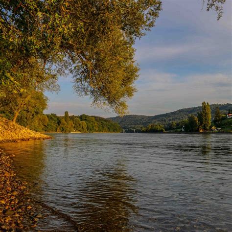 RHEINUFERPARK (2026) All You Need to Know BEFORE You Go (with Photos ...